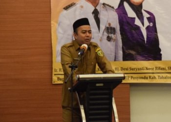 Wabup Tabalong Tekankan Pentingnya Implementasi 6 Bidang SPM di Posyandu