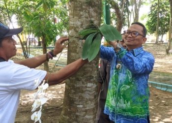 Bupati Tabalong Resmi Buka Tabalong Smart Orchid Festival 2025