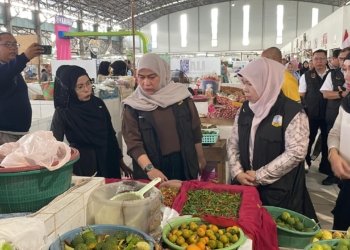 Pemko Banjarbaru Tegaskan Penertiban Pasar Lama, Pedagang Harap Pasar Bauntung Kembali Ramai