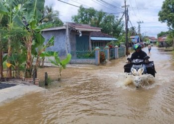 Hujan Deras Picu Banjir, Sejumlah Rumah di Telok Selong Ulu Terendam