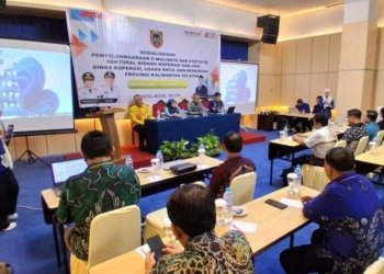 Pemprov Kalsel Perkuat Basis Data UMKM untuk Kebijakan yang Lebih Tepat