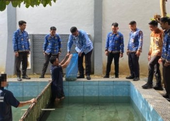Manfaatkan Kolam Tidak Terpakai, Rutan Tanjung Tebar Benih Ikan Mas dan Lele