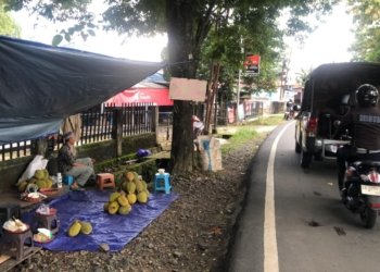 Dishub–Satpol PP Tertibkan Lapak Durian di Jalan PM Noor