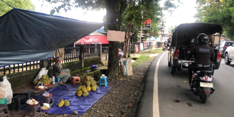 Dishub–Satpol PP Tertibkan Lapak Durian di Jalan PM Noor