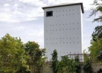 Realisasi Pajak Sarang Burung Walet di Tabalong Masih Rendah, Bapenda Siapkan Strategi Baru