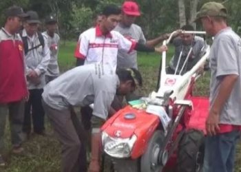 Dorong Produktivitas Pertanian, Puluhan Kelompok Tani Tabalong Ikuti Pelatihan Penggunaan Alsintan