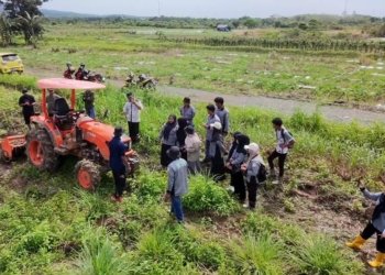 Puluhan Mahasiswa UNU Kalsel Kunjungi Gapoktan Mukti Tama Karang Bintang, Dalami Praktik Pertanian Hortikultura