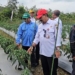 Tekan Inflasi, Pemprov Kalsel Perkuat Produksi Cabai dan Bawang di Kabupaten Banjar