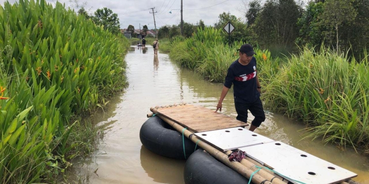 BPBD Kalsel Catat 32 Ribu Rumah dan 220 Ribu Jiwa Terdampak Banjir hingga Januari 2026