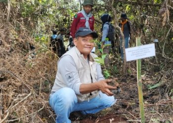 Kolaborasi Kampus ULM dan Pelajar Hijaukan Kiram Lewat Penanaman 1.000 Pohon