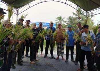 Brigade Pangan Tatah Makmur Panen Raya, Sinergi Petani dan Pemerintah Diperkuat Menuju Swasembada