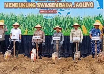 Polda Kalsel Dorong Pengembangan Jagung, Tanah Laut Disiapkan Jadi Lumbung Produksi