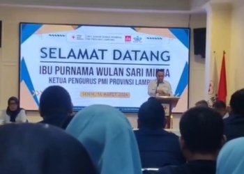 PMI Lampung Lakukan Penataan Sementara di UDD, Plt Kepala Ditunjuk Sambil Tunggu Pendalaman Audit