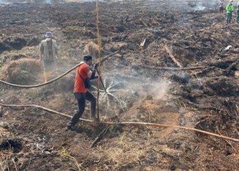 Antisipasi Karhutla Musim Kemarau, Dinsos Kalsel Siapkan Personel, Logistik, hingga Posko