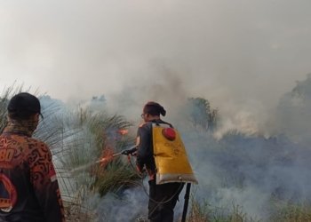 BPBD Kalsel Keluarkan Edaran Siaga Karhutla, Daerah Diminta Tingkatkan Kesiapsiagaan