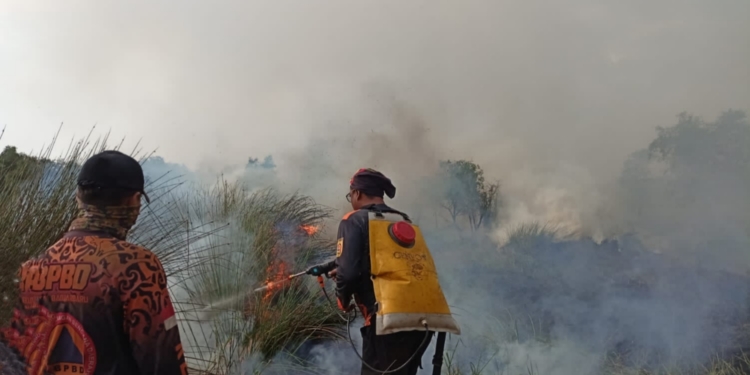 BPBD Kalsel Keluarkan Edaran Siaga Karhutla, Daerah Diminta Tingkatkan Kesiapsiagaan