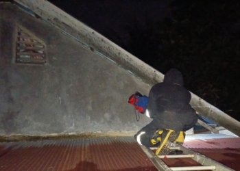 Respon Cepat Malam Hari, Dinas Pemadam Kebakaran dan Penyelamatan Kabupaten Banjar Musnahkan Sarang Tawon Vespa di Martapura Barat