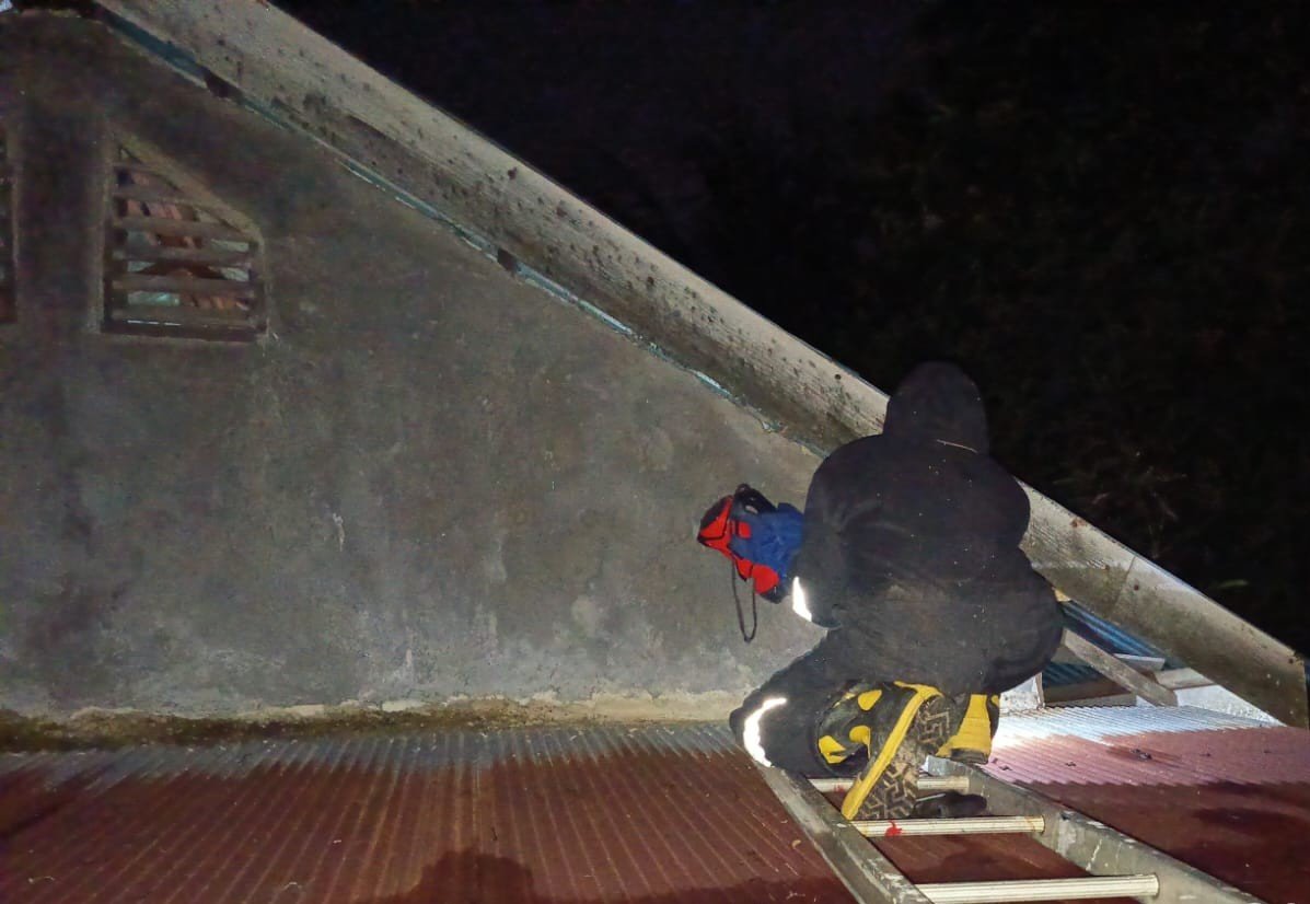 Respon Cepat Malam Hari, Dinas Pemadam Kebakaran dan Penyelamatan Kabupaten Banjar Musnahkan Sarang Tawon Vespa di Martapura Barat