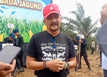 Produksi Jagung Kalsel Naik 60 Ribu Ton, Pemprov Tingkatkan Bantuan untuk Petani