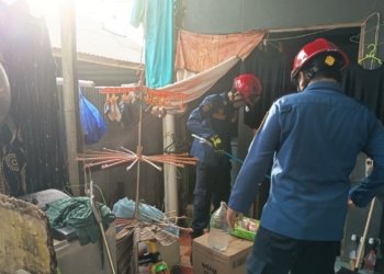 Kaget Saat Bersihkan Dapur, Warga Gambut Temukan Ular Cobra 1 Meter, Tim Dinas Pemadam Kebakaran dan Penyelamatan Kabupaten Banjar Bergerak Cepat