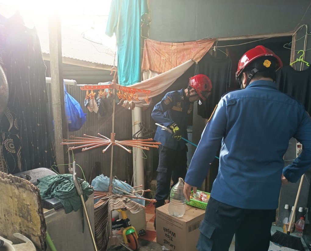 Kaget Saat Bersihkan Dapur, Warga Gambut Temukan Ular Cobra 1 Meter, Tim Dinas Pemadam Kebakaran dan Penyelamatan Kabupaten Banjar Bergerak Cepat