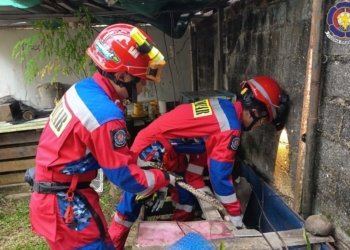 Damkar Banjar Tangkap Ular Sanca Batik di Permukiman Gambut, Warga Sempat Geger