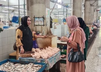 Harga Ayam di Banjarbaru Turun Tajam Pasca Lebaran, Sentuh Rp24.500 per Kilogram