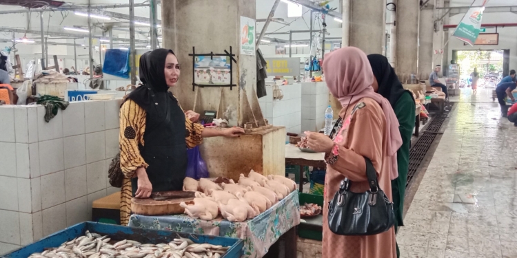 Harga Ayam di Banjarbaru Turun Tajam Pasca Lebaran, Sentuh Rp24.500 per Kilogram