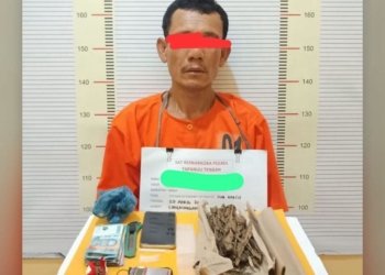 Polres Tapteng Ringkus ‘Kongo’, Pengedar Paket Lengkap Ganja dan Sabu di Lubuk Tukko