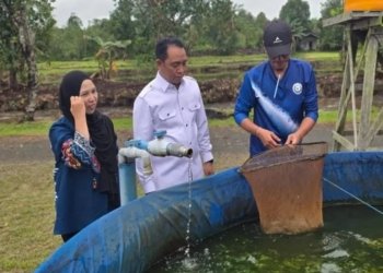 Komisi II DPRD Tabalong Pelajari Budidaya Ikan Haruan untuk Dikembangkan di Empat Kecamatan