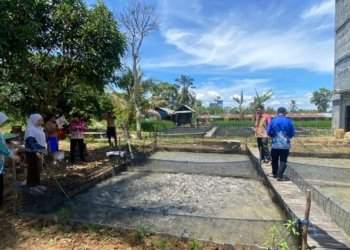 Perkuat Ketahanan Pangan, Pemerintah Kecamatan Martapura Barat Tinjau Budidaya Lele BUMDes