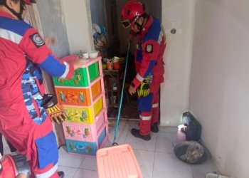 Ular Cobra Masuk Dapur Warga, Damkar Banjar Gerak Cepat Amankan Dalam 20 Menit
