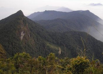 Menjaga Nafas Halau-Halau