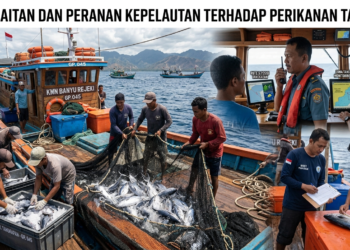 Keterkaitan dan Peranan Kepelautan Terhadap Perikanan Tangkap