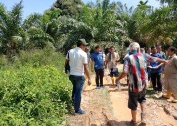 Irsan Tambuna Bongkar Kejanggalan Sidang PS, Tergugat Dinilai Tidak Pahami Objek Perkara