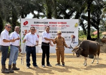 Wujud Kepedulian Sosial, Minamas Plantation Salurkan 34 Ekor Sapi Kurban untuk Masyarakat di Wilayah Operasional
