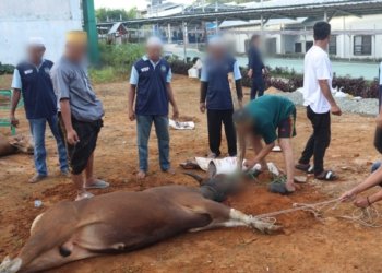Ratusan Warga Binaan Lapas Kelas III Batulicin Ikuti Sholat Idul Adha Berjamaah dan Bagikan Daging Kurban ke Masyarakat