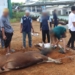 Ratusan Warga Binaan Lapas Kelas III Batulicin Ikuti Sholat Idul Adha Berjamaah dan Bagikan Daging Kurban ke Masyarakat