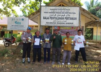 Tani Merdeka Indonesia Kalsel Kawal Penyaluran Bantuan Benih Jagung Untuk Petani Sambung Makmur