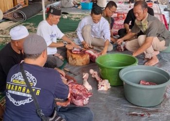 PT Baramarta Perseroda Sembelih Dua Ekor Sapi Kurban, Bagikan 500 Paket Daging Untuk Warga Dan Panti Asuhan
