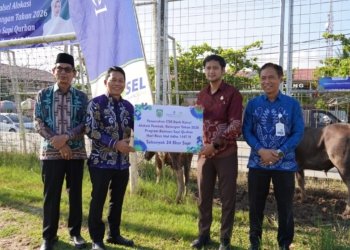 Pemkab Balangan dan Bank Kalsel Salurkan Puluhan Sapi Kurban Guna Tebar Kebaikan di Hari Raya