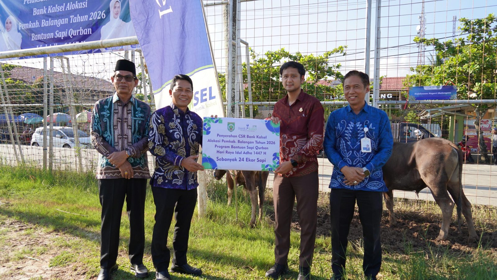 Pemkab Balangan dan Bank Kalsel Salurkan Puluhan Sapi Kurban Guna Tebar Kebaikan di Hari Raya