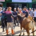Permintaan Juru Sembelih Halal Meningkat, DPD JULEHA Kabupaten Banjar Kebanjiran Tugas Saat Idul Adha 1447 H