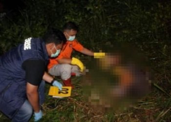 Mayat Perempuan Ditemukan di Hutan Sungai Ulin, Polisi Selidiki Dugaan Pembunuhan