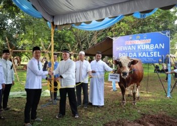 Polda Kalsel Kurban 159 Ekor Sapi dan Kambing pada Perayaan Idul Adha 1447 H