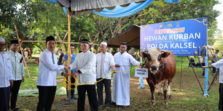 Polda Kalsel Kurban 159 Ekor Sapi dan Kambing pada Perayaan Idul Adha 1447 H