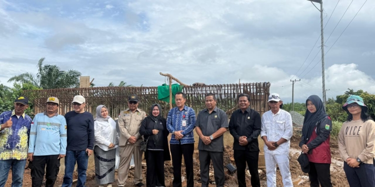 Turun ke Lapangan, Anggota DPRD Tanah Bumbu Tinjau Progress Pembangunan Jembatan Penghubung Dua Desa di Desa Jombang