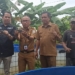 Panen Perdana Ikan Papuyu di Kolam Bundar, Warga Lok Baintan Luar Buktikan Budidaya Ikan Lokal Bernilai Tinggi