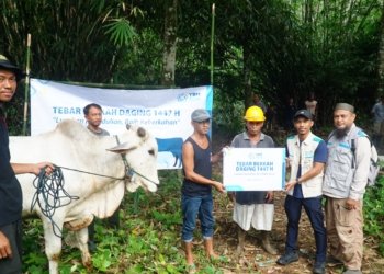 Tebar Berkah Daging YBM PLN UID Kalselteng Hadir di Pedalaman Meratus