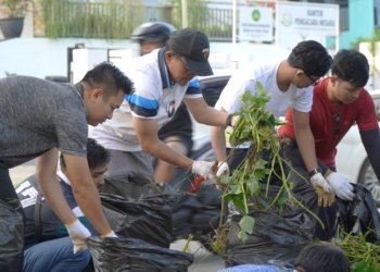 Peringati Hari Lingkungan Hidup Sedunia, PLN UID Kalselteng Lakukan Aksi Bersih Sampah dan Penanaman Pohon di Barabai